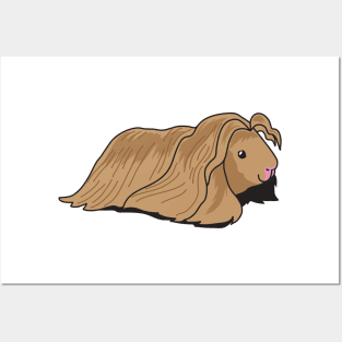 Very Long Haired Guinea pig Posters and Art